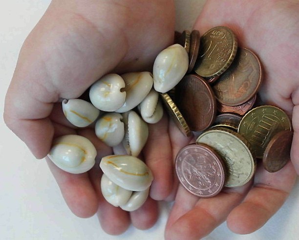 Ципреи - первые деньги в виде морских раковин