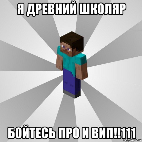 я древний школяр бойтесь про и вип!!111, Мем Типичный игрок Minecraft