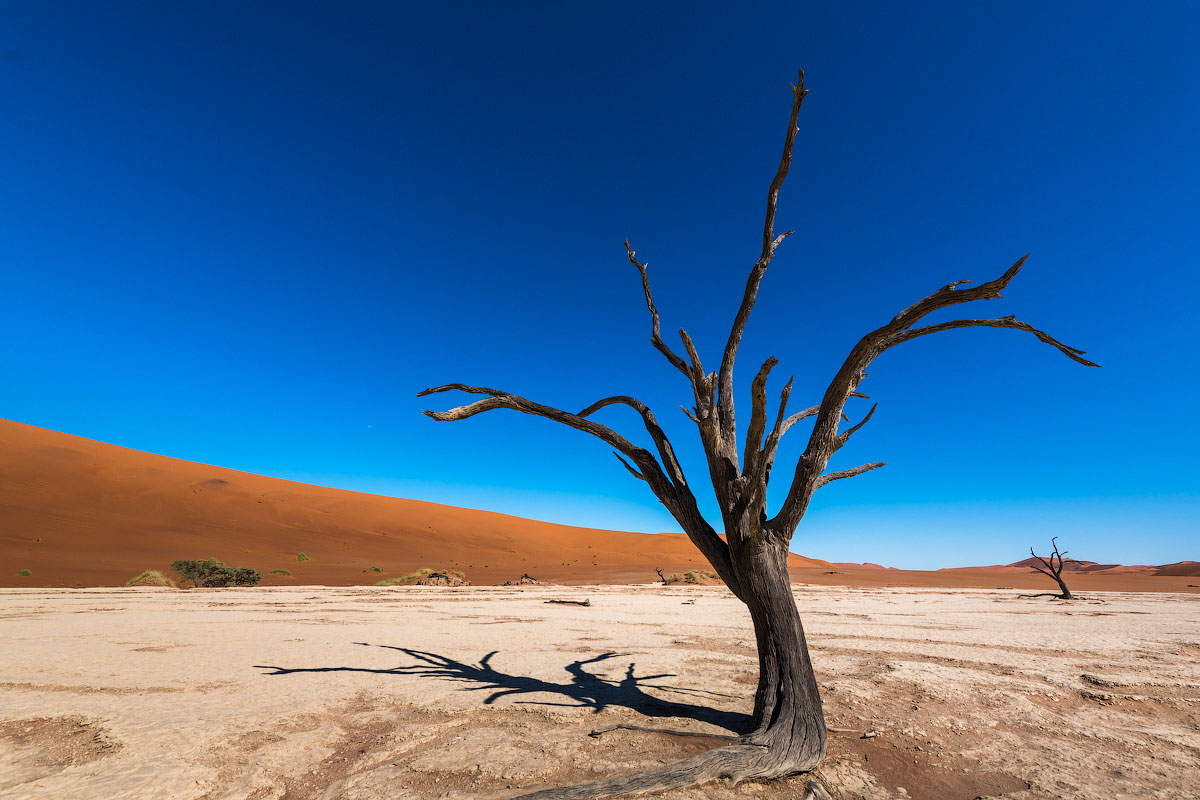 Намиб - древнейшая пустыня мира