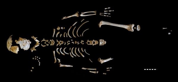 Paleoanthropology Group MNCN-CSIC