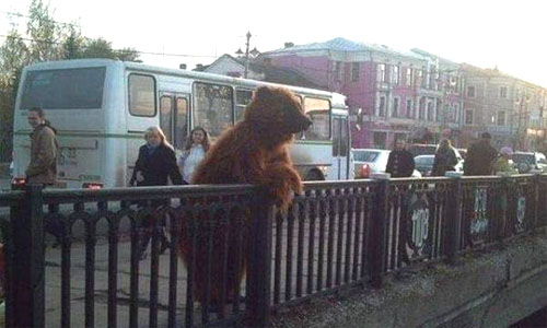В России по улицам ходят медведи