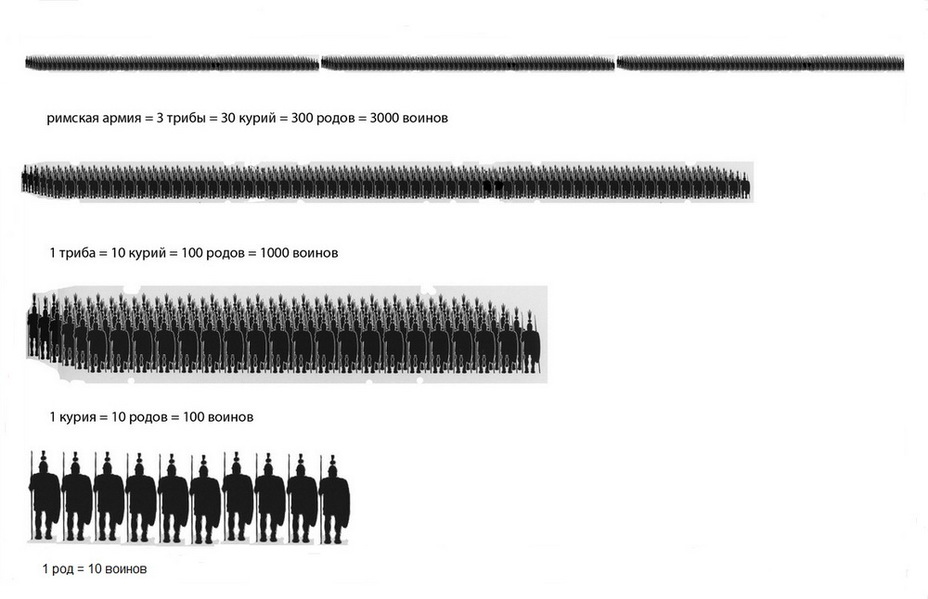 ​Структура римской армии царской эпохи. Рисунок автора - Так создавались легионы: римская армия царской эпохи | Warspot.ru