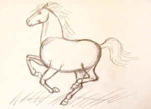 как нарисовать лошадь карандашом поэтапно 10