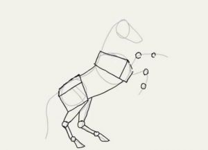 как нарисовать лошадь карандашом поэтапно 15