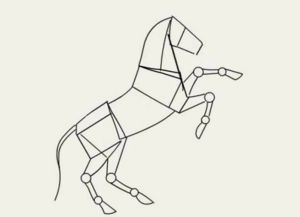 как нарисовать лошадь карандашом поэтапно 17