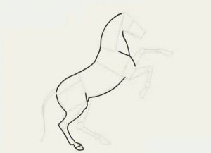 как нарисовать лошадь карандашом поэтапно 18