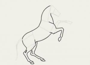 как нарисовать лошадь карандашом поэтапно 19