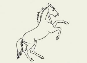 как нарисовать лошадь карандашом поэтапно 21