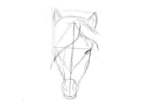 как нарисовать лошадь карандашом поэтапно 23