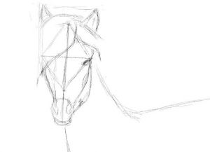 как нарисовать лошадь карандашом поэтапно 24