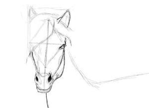 как нарисовать лошадь карандашом поэтапно 25