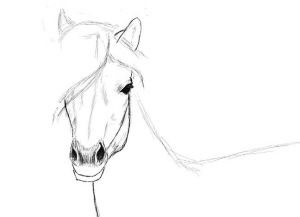 как нарисовать лошадь карандашом поэтапно 26