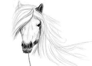 как нарисовать лошадь карандашом поэтапно 27