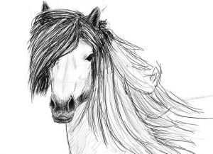 как нарисовать лошадь карандашом поэтапно 28