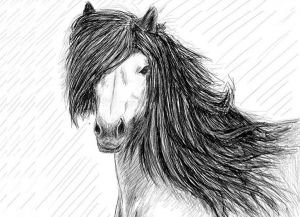 как нарисовать лошадь карандашом поэтапно 30