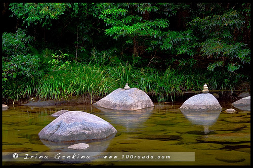 Ущелье Моссман, Mossman Gorge, Queensland, Квинсленд, QLD, Австралия, Australia