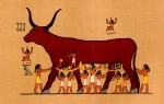 Обожествление коровы в Мифологии Древнего Египта
