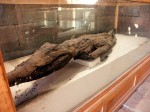 Мумия крокодила - вопрощения Бога Себека
