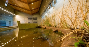 Музей окружающей среды в Стимфалии