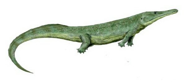 Прионозухус (лат. Prionosuchus)