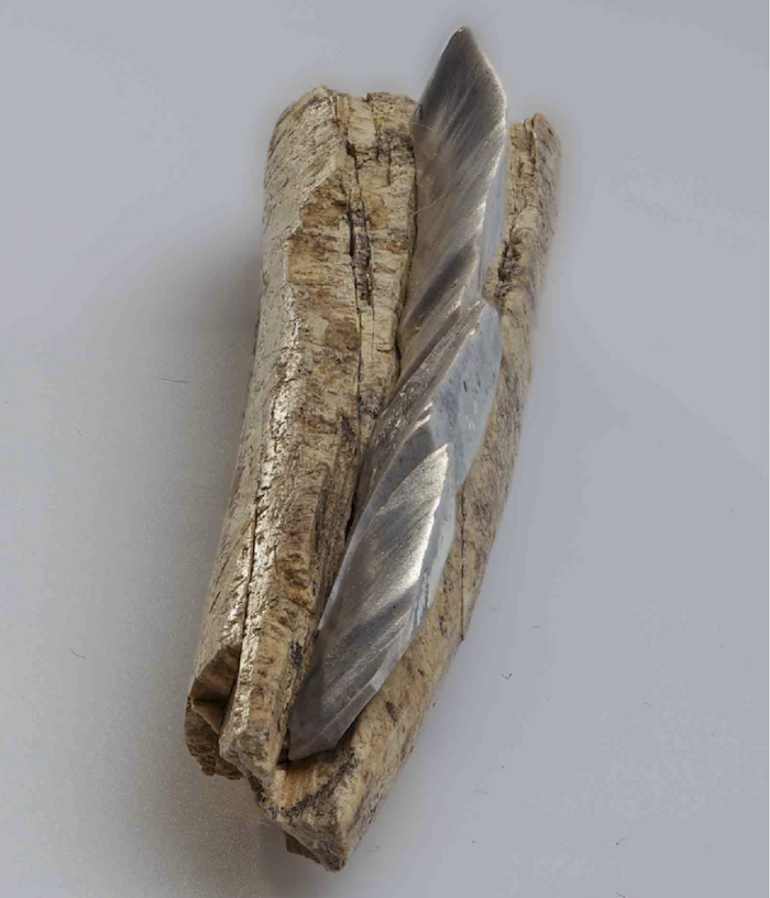 Бивневый наконечник с кремневыми вкладышами, найденный на стоянке Юдиново в 2010 г. (раскопки Г.А. Хлопачева)