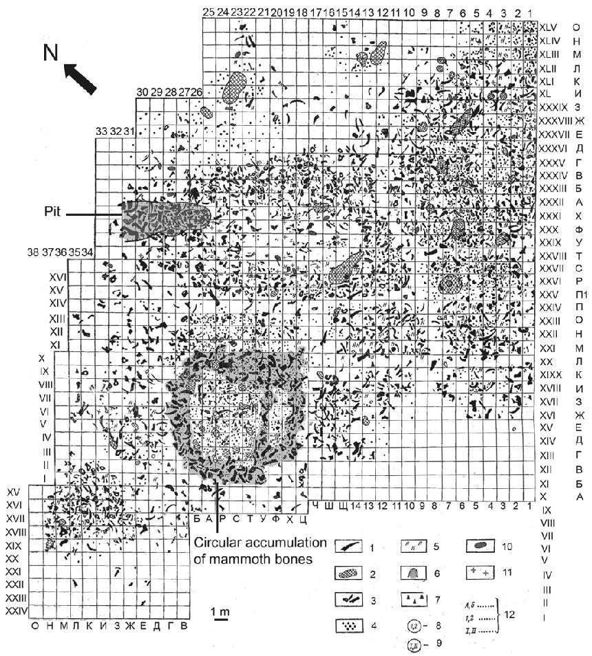 План стоянки Молодова 1 (слой 4) 1. Бивни мамонтов; 2. Очаги; 3. Кости; 4. Кремнёвое сырье; 5. Нуклеус; 6. «Яма»; 7. Каменные орудия; 10. Зубы мамонта; 11. Непищевые отметки на крупных костях мамонта. Источник: Laëtitia Demay, Stephane Pean, Marylene Patou-Mathis. Mammoths used as food and building resources by Neanderthals: Zooarchaeological study applied to layer 4, Molodova I (Ukraine) // Quaternary International 276-277 (2012) 215.