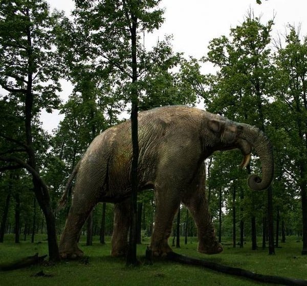 Доисторические животные фото самых странных - Дейнотерий