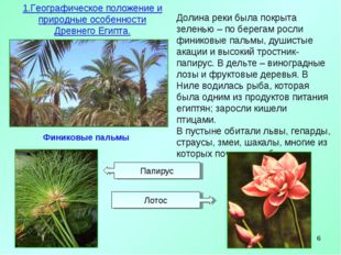 * Финиковые пальмы 1.Географическое положение и природные особенности Древнег