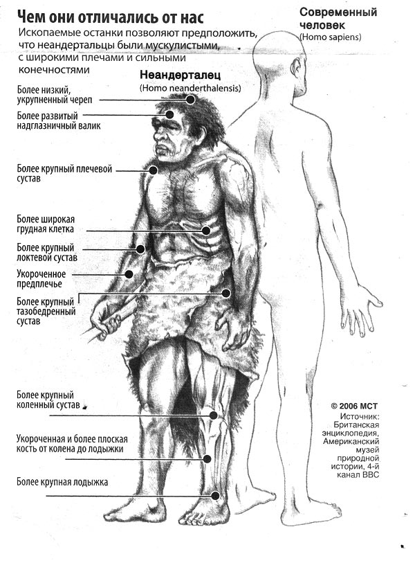 Чем они отличались от нас