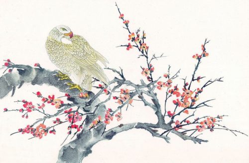 Рисунок с изображением орла, сидящего на дереве