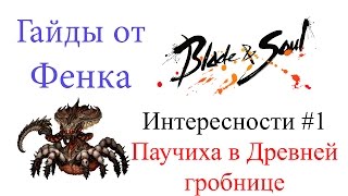 Blade & Soul - Интересности #1 - Паучиха в Древней гробнице