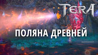 Tera обзор - Поляна Древней прохождение