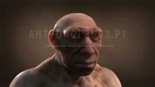 Неандерталец. 3D-реконструкция по черепу