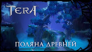 TERA Поляна древней Знакомимся с данжем