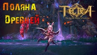 TERA online - Поляна Древней (16.11.2016)