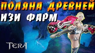 Играем в TERA: Online - Поляна Древней/Шанс Велики. Изи фарм!