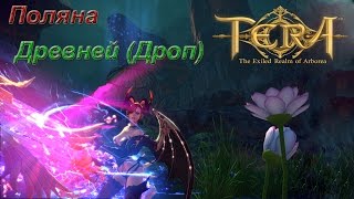 TERA online - Поляна Древней 7 заходов дроп (30.12.2015)