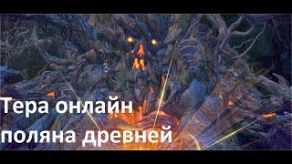 Tera online -подземелье - поляна древней