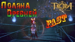 TERA online - Поляна Древней (Быстрое прохождение)