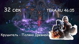 Крушитель -Поляна Древней за 32 сек. TERA RU 46.05