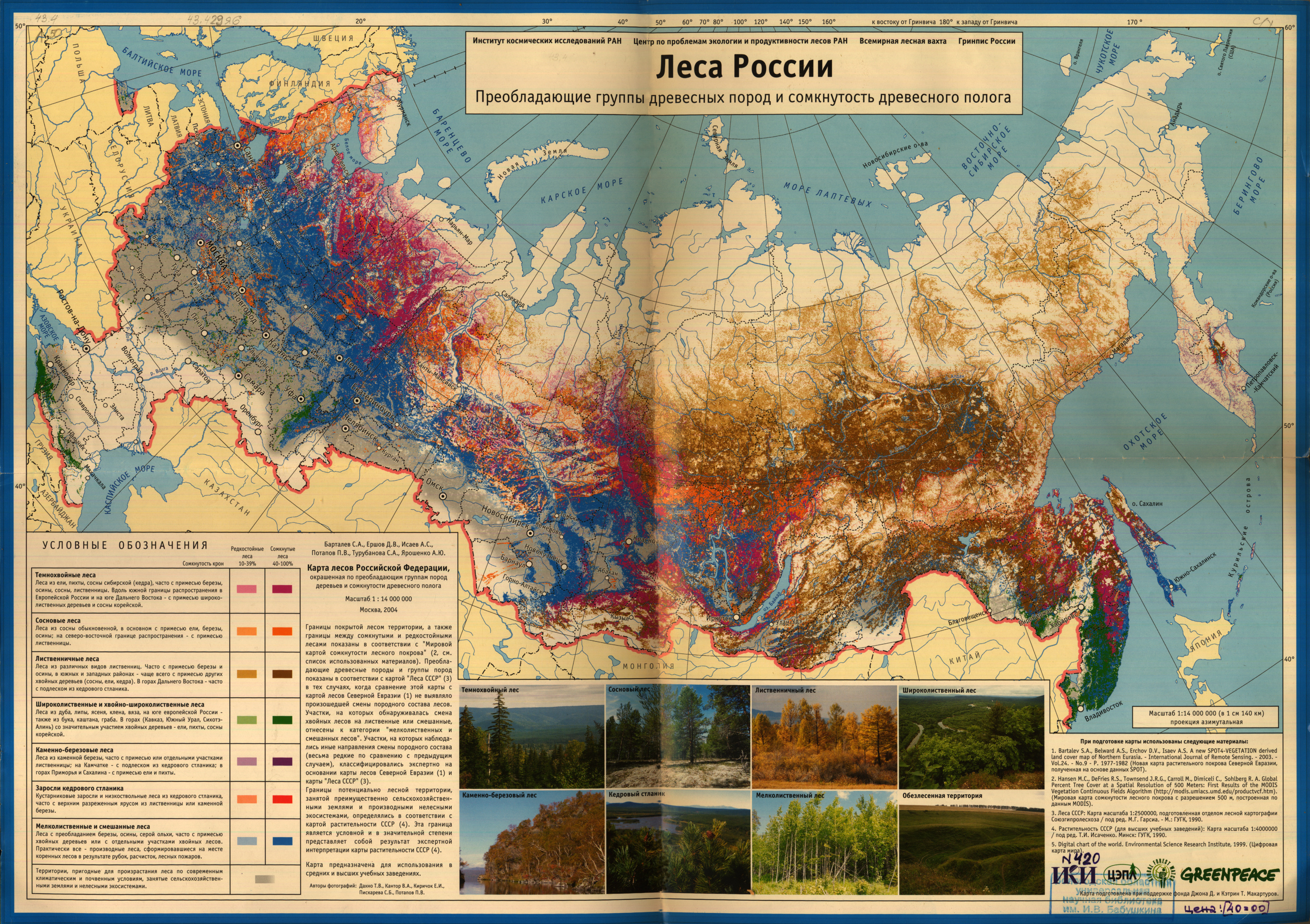 forest_russia