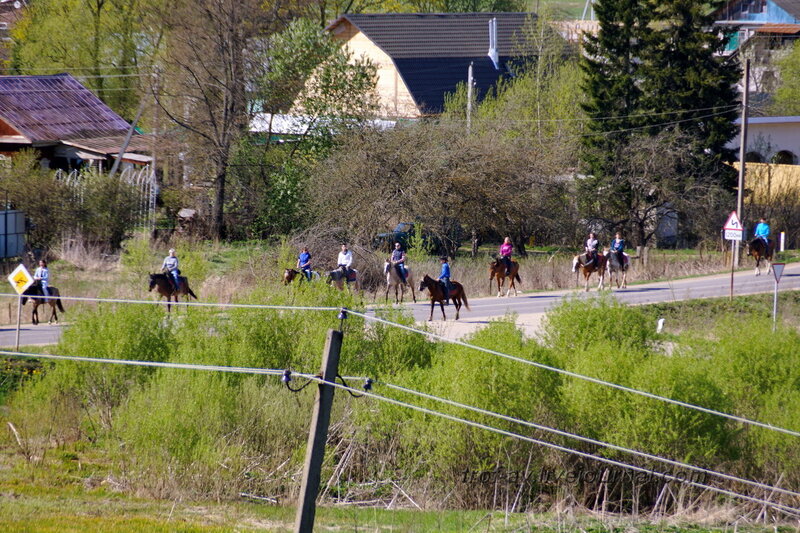 Конная прогулка, Можайск