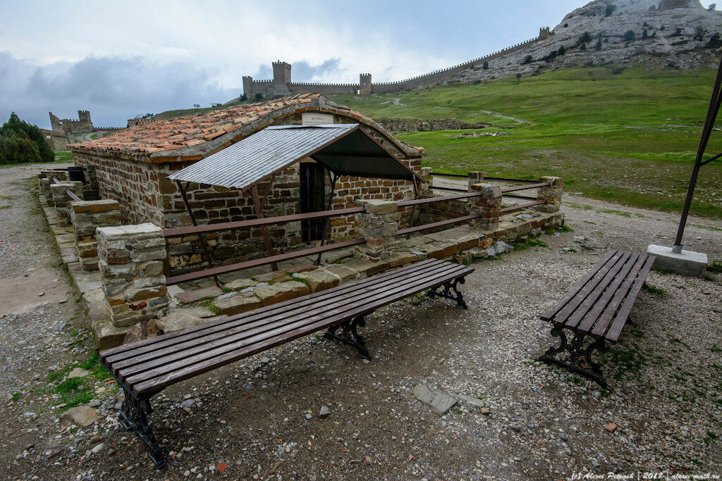 DSC_9178.jpg
