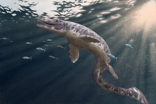 Монстры подводного мира: 10 доисторических морских чудовищ, терроризировавших Землю