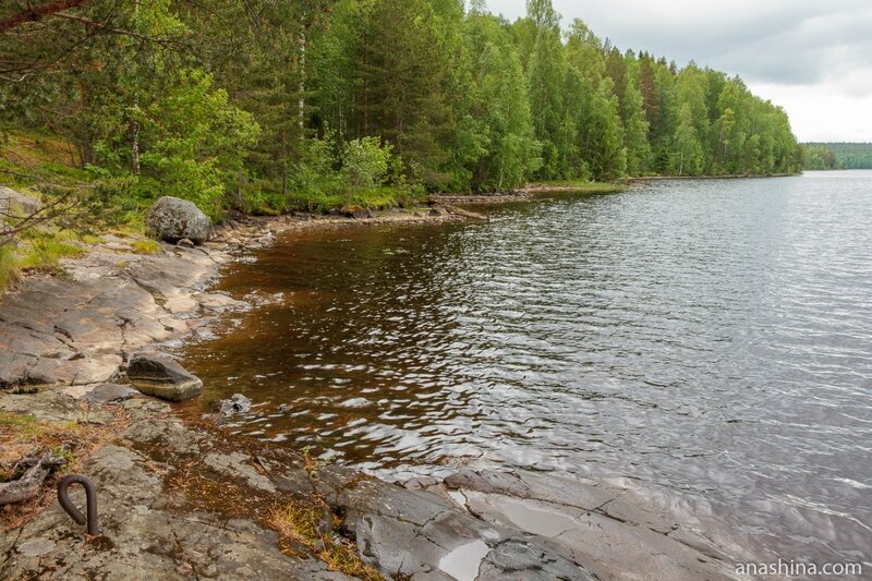 Берег реки Суны (Гирвасское водохранилище), Карелия