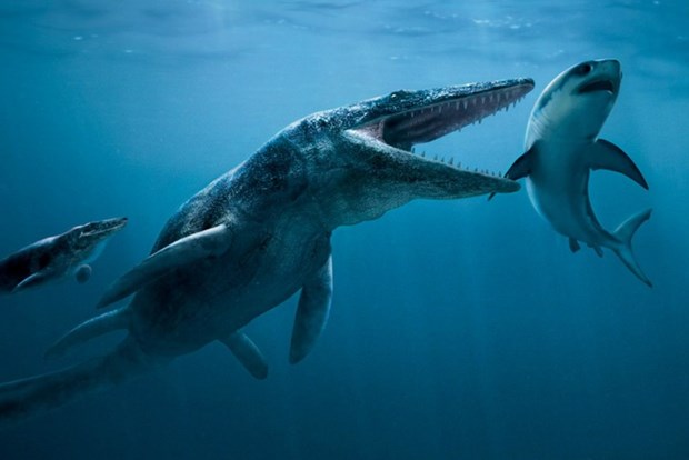 Монстры подводного мира: 10 доисторических морских чудовищ, терроризировавших Землю