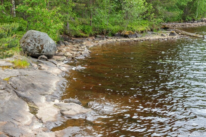 Берег реки Суны (Гирвасское водохранилище), Карелия