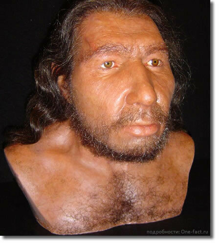 100924-mujchina-neandertalec-rekonstrukciya.jpg