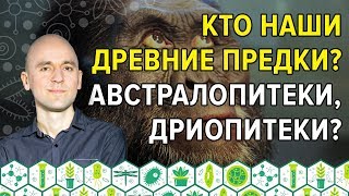 18. Кто наши древние предки? Австралопитеки, дриопитеки?