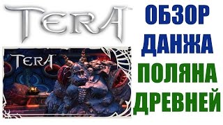 Гайд по прохождению данжа ПОЛЯНА ДРЕВНЕЙ - TERA Online